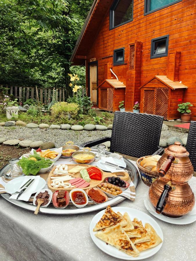 Kiana Bungalov Acomodação com café da manhã Ardeşen Exterior foto